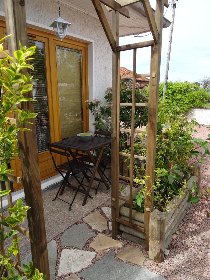 Le Chantemerle Climatise Briennon Habitación foto